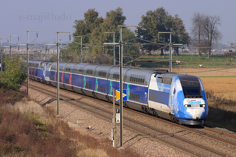 Duplex EDF(2).JPG